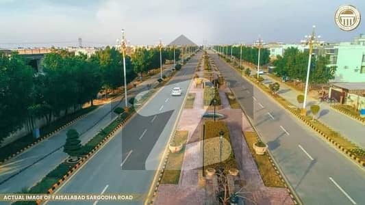 سٹی