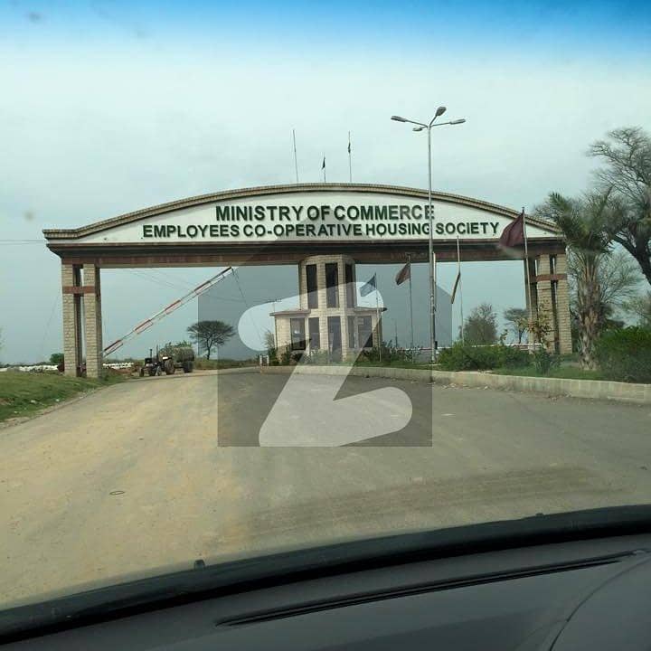 E-19 Ministry Of Commerce 25x50 Plot File For Sale E-19 Ministry Of Commerce 25x50 Plot File For Sale