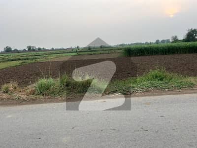 بیدیاں