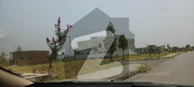Near