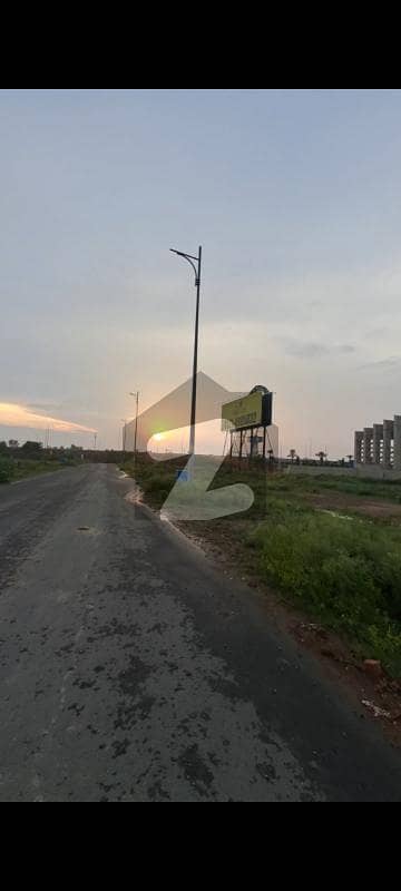 ڈی