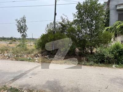 حیات