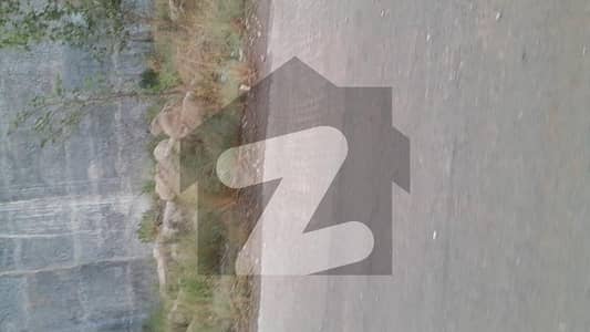 level
