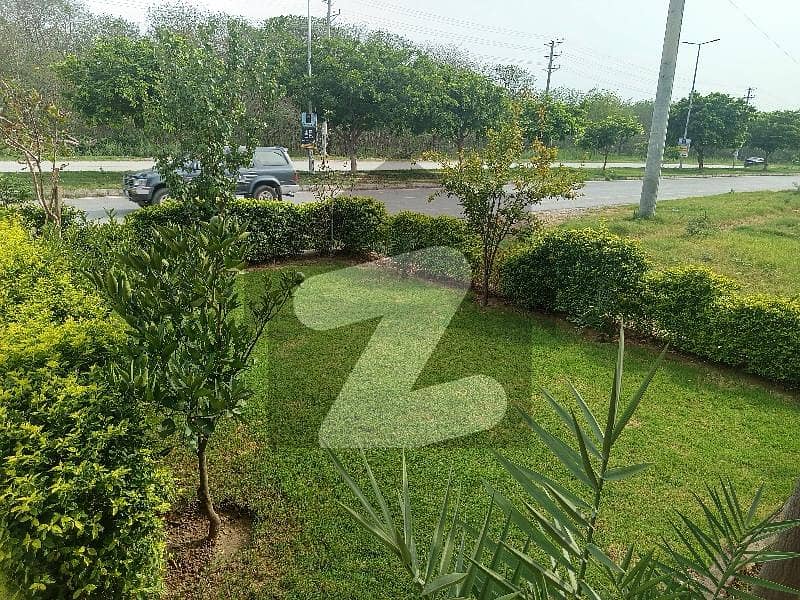 25 