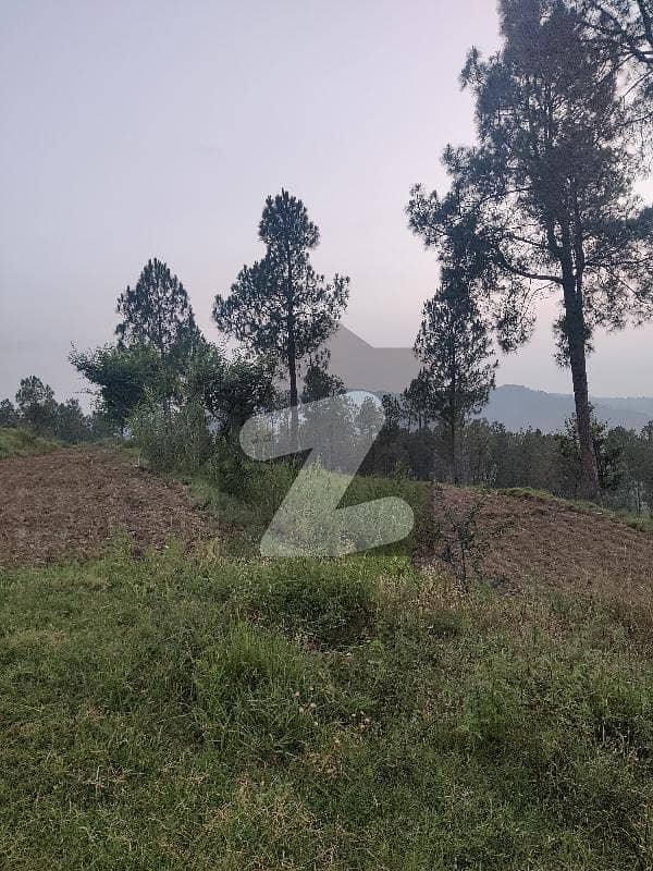 Residential Plot Spread Over 1 Kanal In Data Road Available Residential Plot Spread Over 1 Kanal In Data Road Available