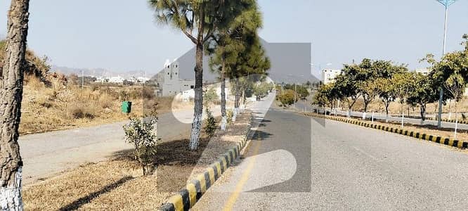 واپڈا