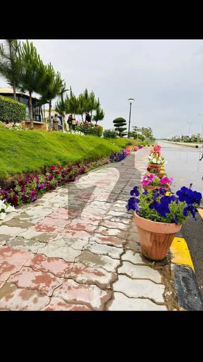 Sector B Low Budget Plot Available For Sale