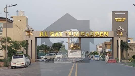 القيوم