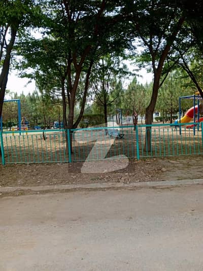 حیات