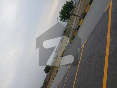 Faisal