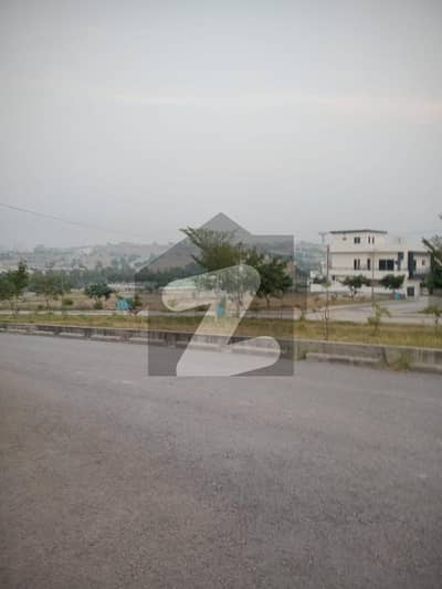 ڈی