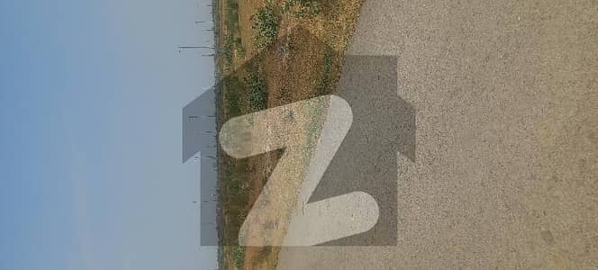 ڈی