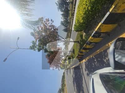 Gulberg