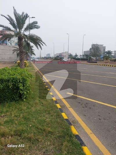سٹی