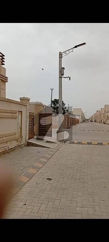 صائمہ