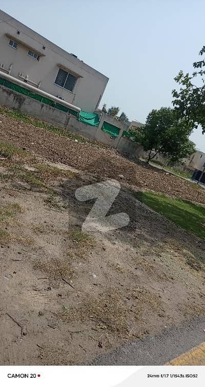 ڈی