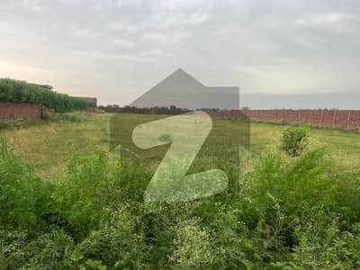 بیدیاں