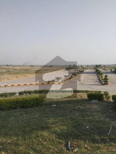 یونیورسٹی