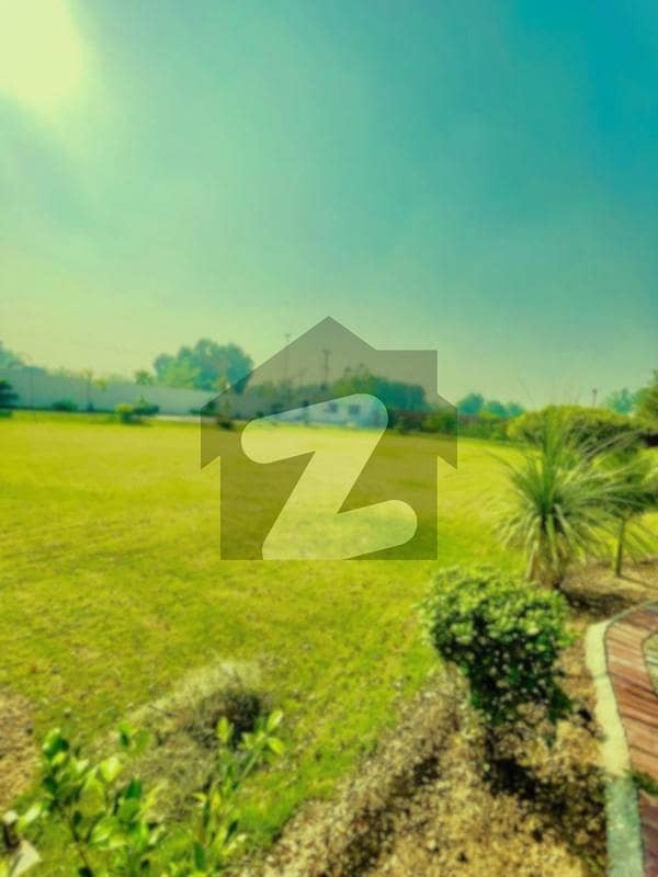4 Kanal Farmhouse Land For Sale In Milboo Society Premium Location For Luxury Living