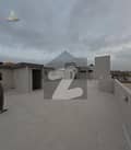 41 