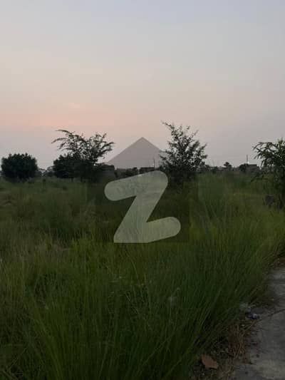 زمر