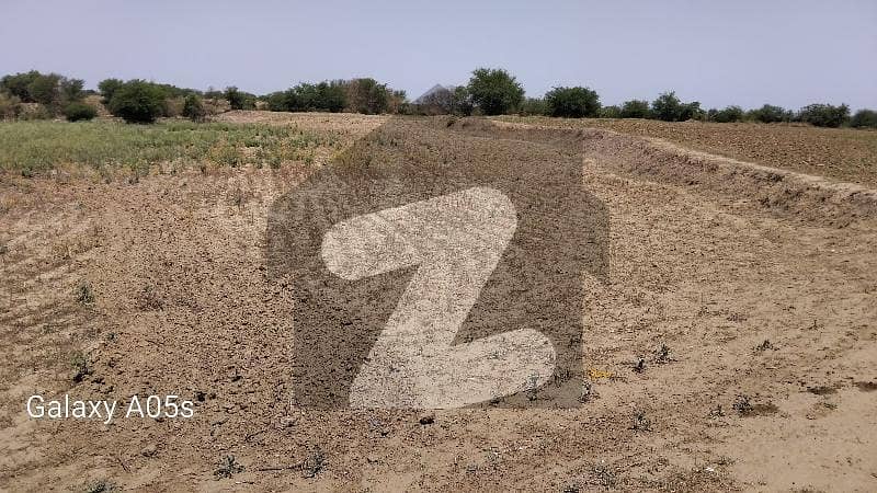 100 Kanal Agricultural Land For Sale In Nella Dullah 100 Kanal Agricultural Land For Sale In Nella Dullah