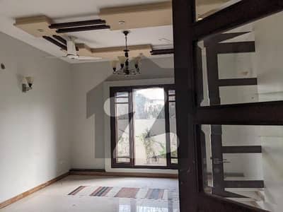 BRAND NEW LUXURIOUS BUNGALOW ON RENT