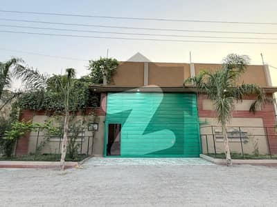 مدینہ