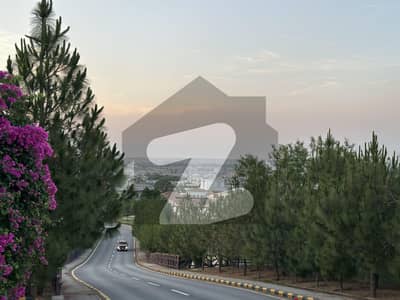 ڈی