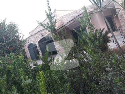3 Acres Farmhouse With Amazing Design For Sale