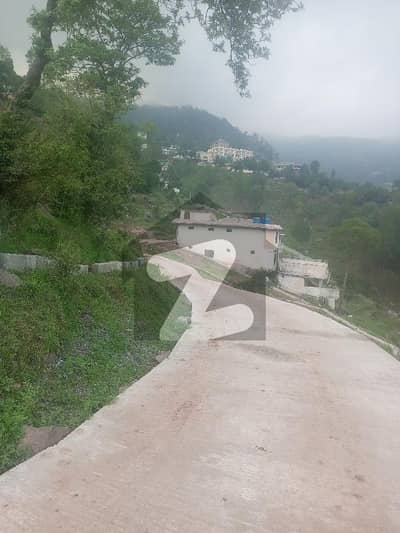 مری