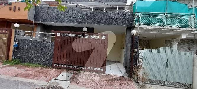 Renovated House For Rent (Govt Hiring Only)
