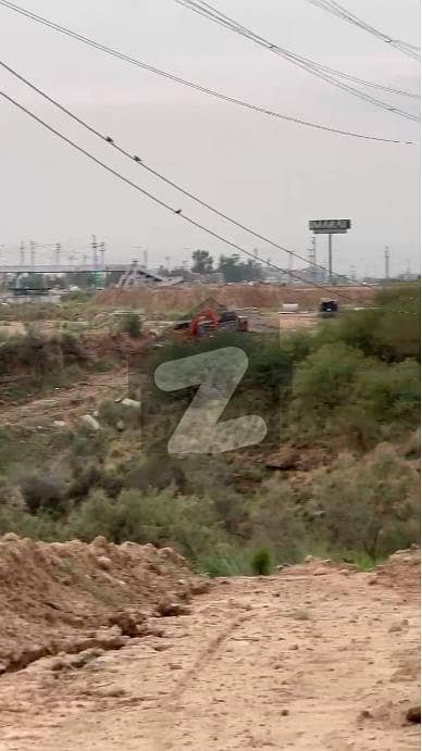 جناح