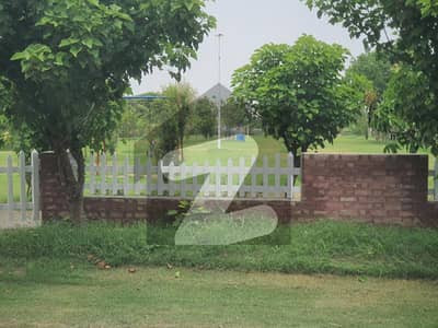 Best Investment Opportunity in BACHS