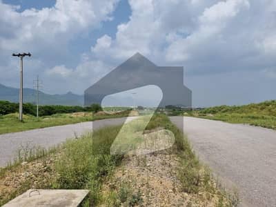 Plot for sale (40x80)