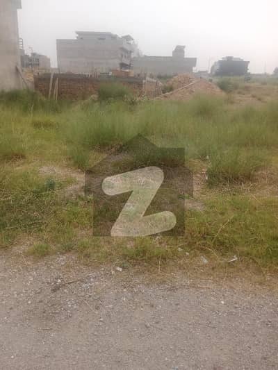 بی