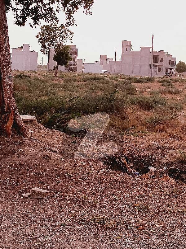 SAADI GARDEN BLOCK 4 WEST OPEN