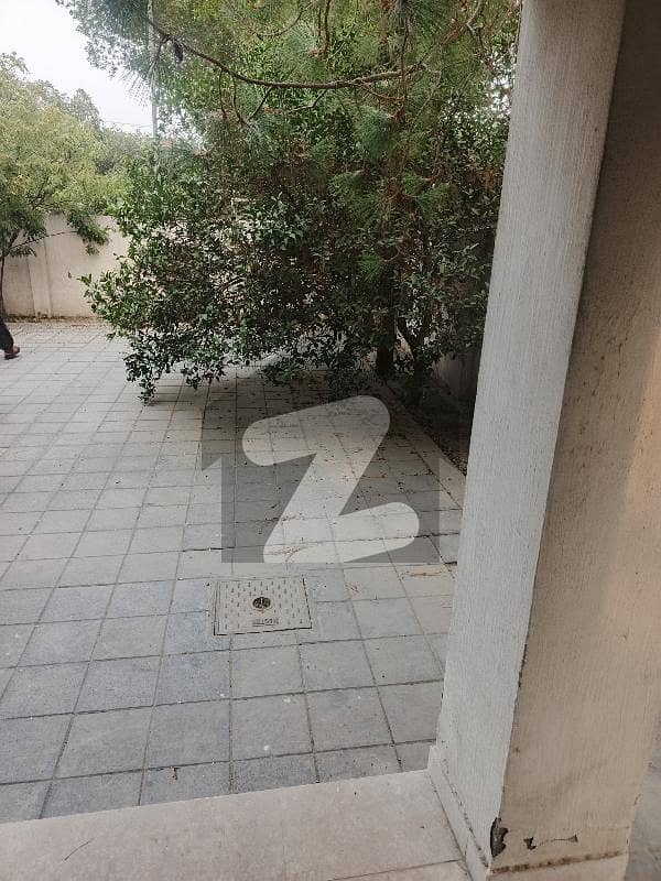 20 