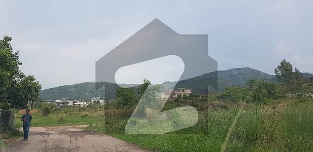 ڈی