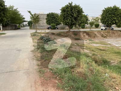 خیابانِ شیر سرگودھا میں 1 کنال رہائشی پلاٹ 5.0 کروڑ میں برائے فروخت۔
