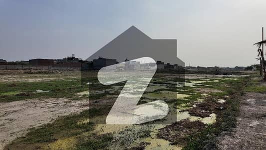 پیراگون