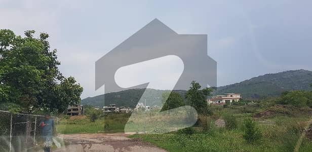 ڈی