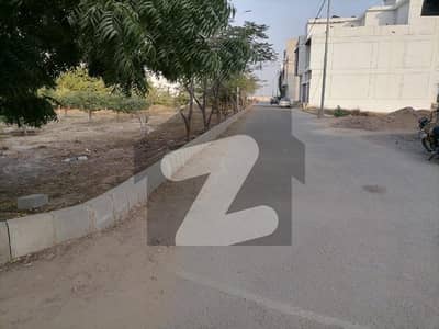 الجدید