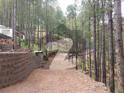 IMPERIAL CITI Murree Expressway 24 Kms From Expressway Toll Plaza Towards Murree At Mauza Lakot