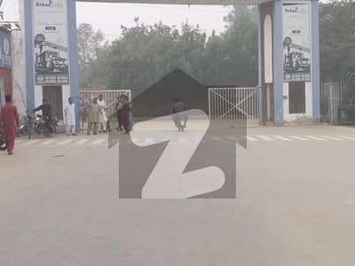 ریحان