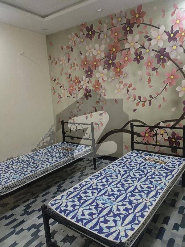 Architect Society 35 Rooms Full Furnished Hostel Available For Rent Brand New Luxury Spanish Architect Society 35 Rooms Full Furnished Hostel Available For Rent Brand New Luxury Spanish