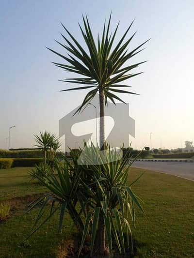 بینکرس
