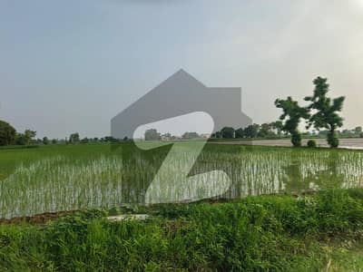 بیدیاں