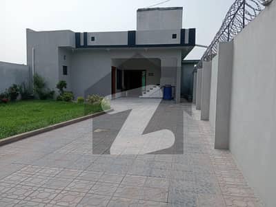 بنی