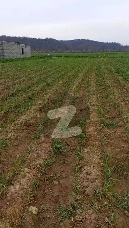 Domeli Agricultural Farm For Sale Domeli Agricultural Farm For Sale